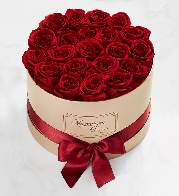 Magnificent Roses® Preserved Cabernet Roses